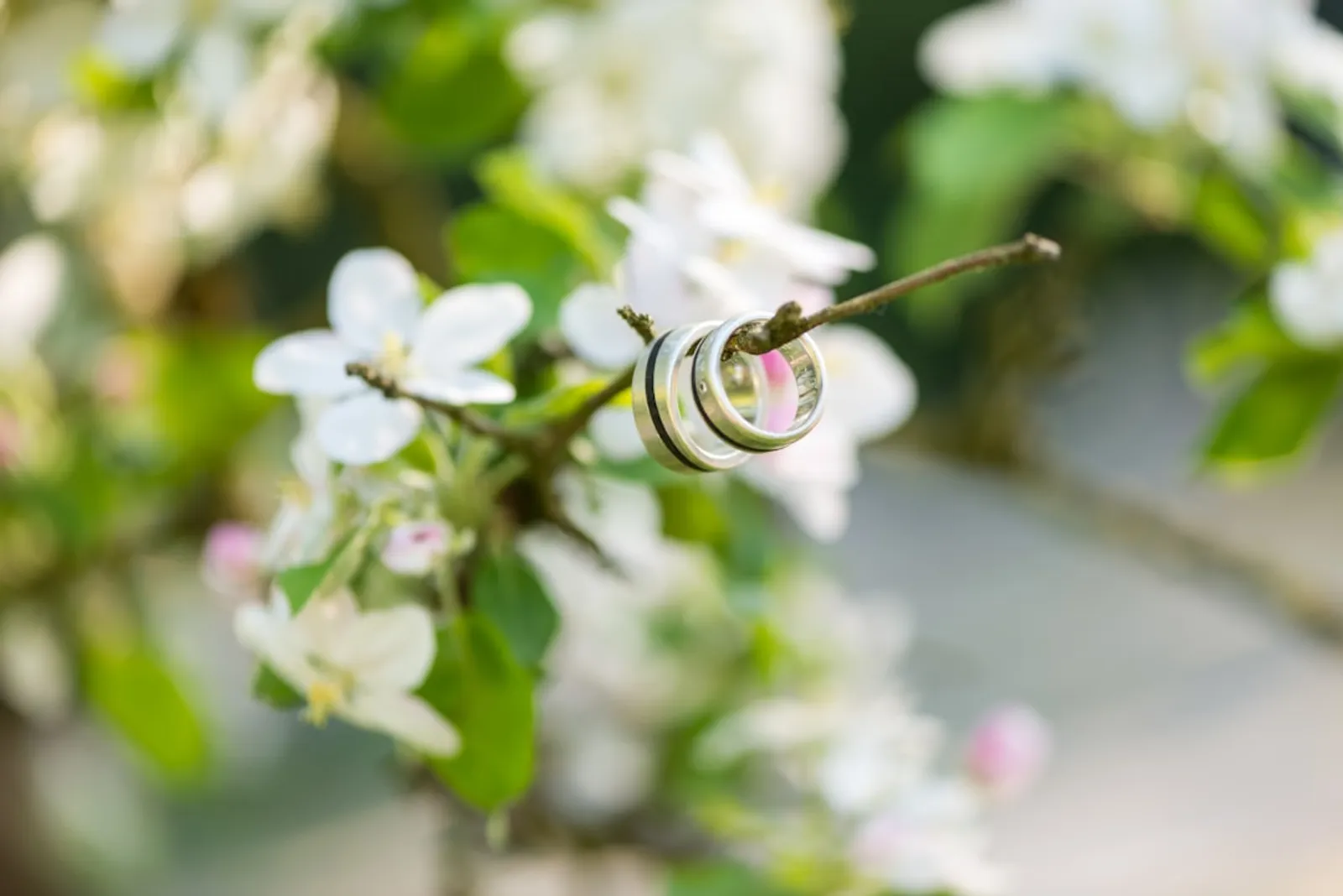 Comprehensive Wedding Photography Checklist: Capturing Every MomentIllustration